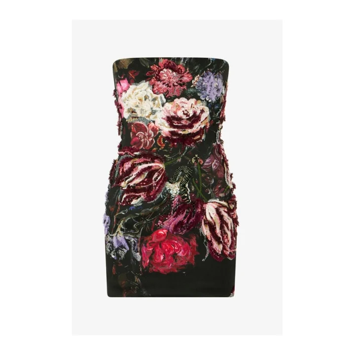 Roberto Cavalli Вышитое мини-платье Fiammingo Flowers XWR112