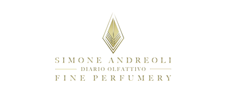 Логотип SIMONE ANDREOLI