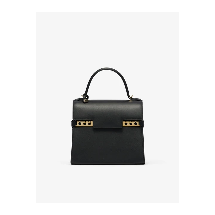 Кожаная сумка Delvaux Tempête PM Silky Calf — Black