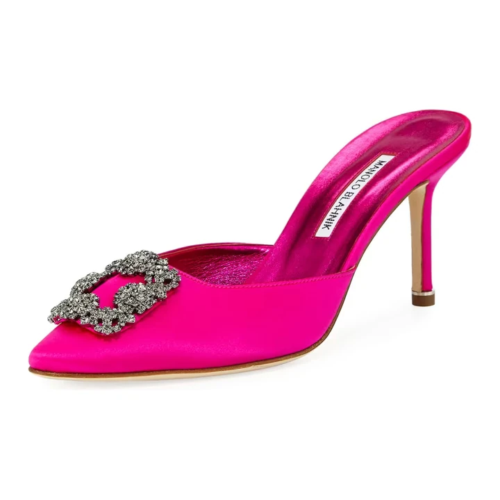 Туфли Manolo Blahnik Hangisi 70