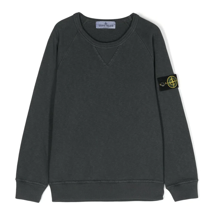 Свитшот Stone Island Junior Compass